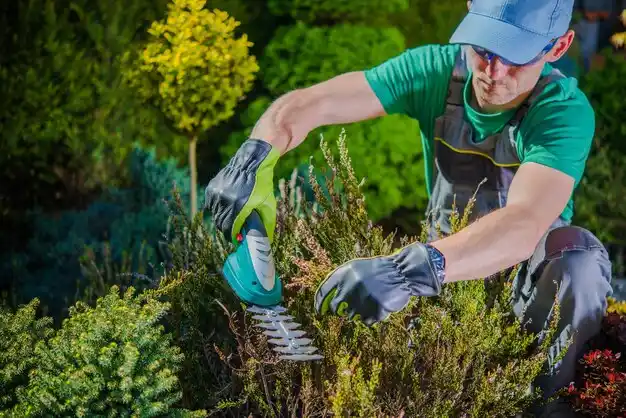 landscaping services Lorain